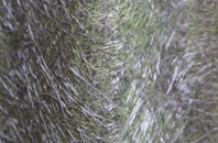 Pensnett fibreglass roof work