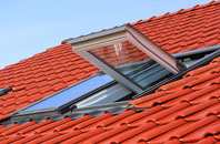 Pensnett roof window